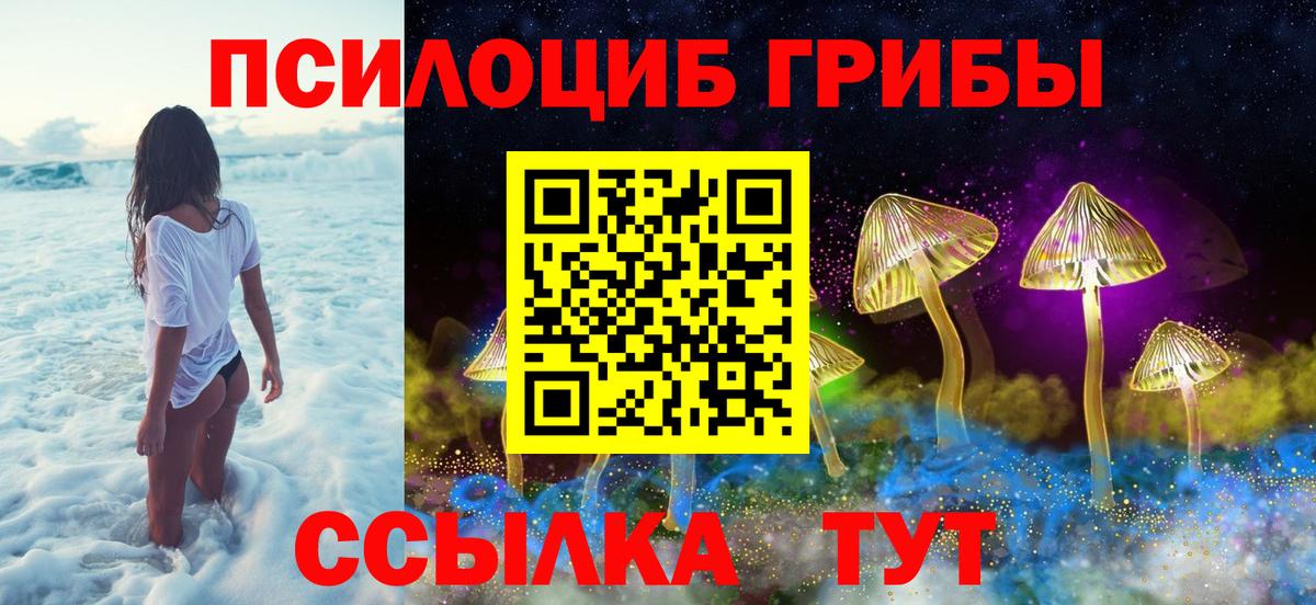 купить закладку  Вход с VPN  Якутск  Галлюциногенные грибы Cubensis 